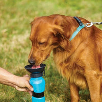 Portable Aqua Fresh Water Pump Bowl Bottle