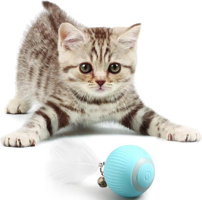 ROTATING CAT BALL